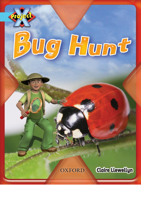 113. Bug Hunt